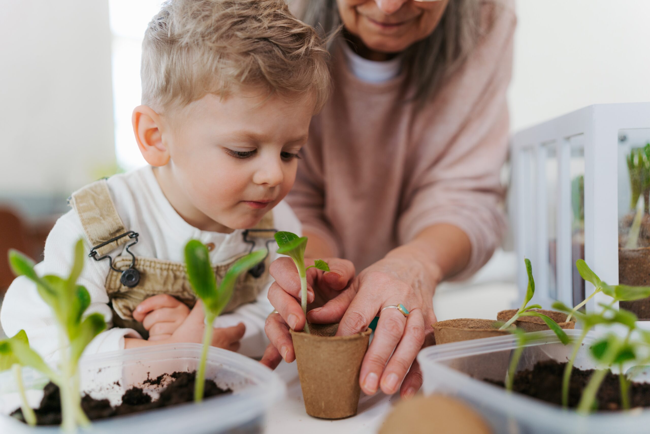 Grandmother,With,Her,Grandson,Planting,Vegetables,And,Flowers.