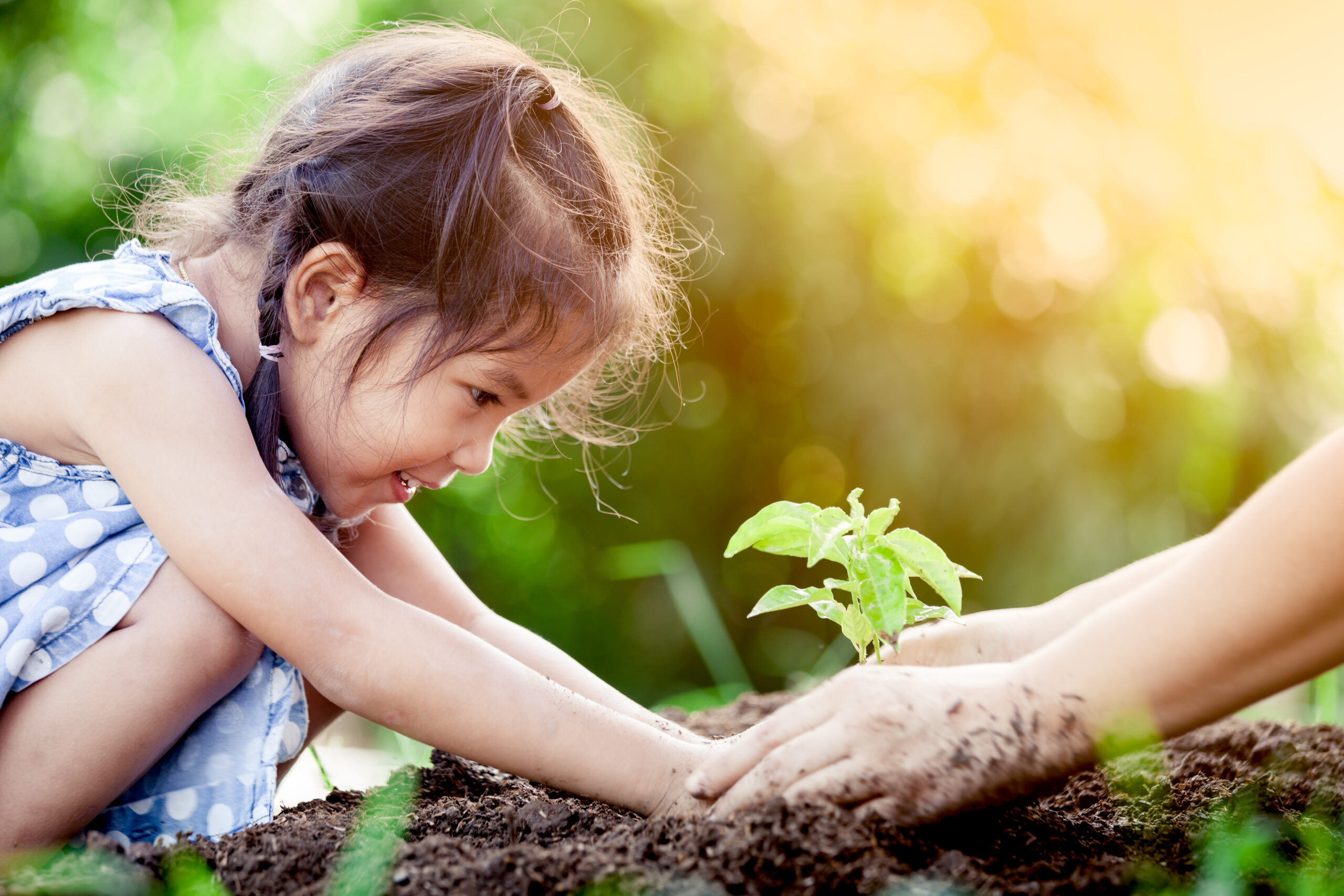 Asian,Little,Girl,And,Parent,Planting,Young,Tree,On,Black